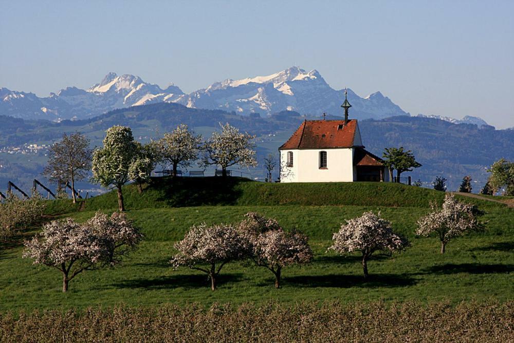 Zum Seglerhafen - Ferienappartement Kressbronn am Bodensee Esterno foto