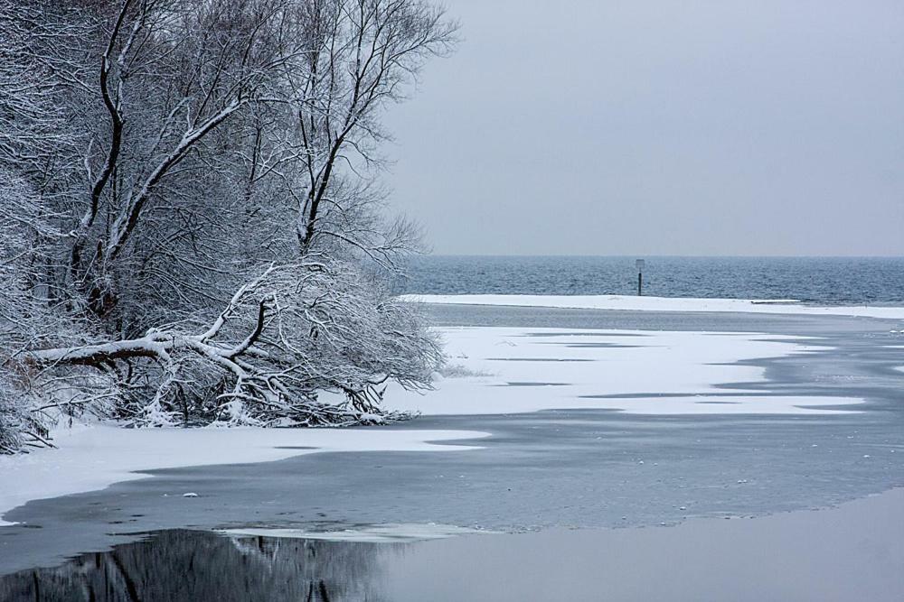 Zum Seglerhafen - Ferienappartement Kressbronn am Bodensee Esterno foto